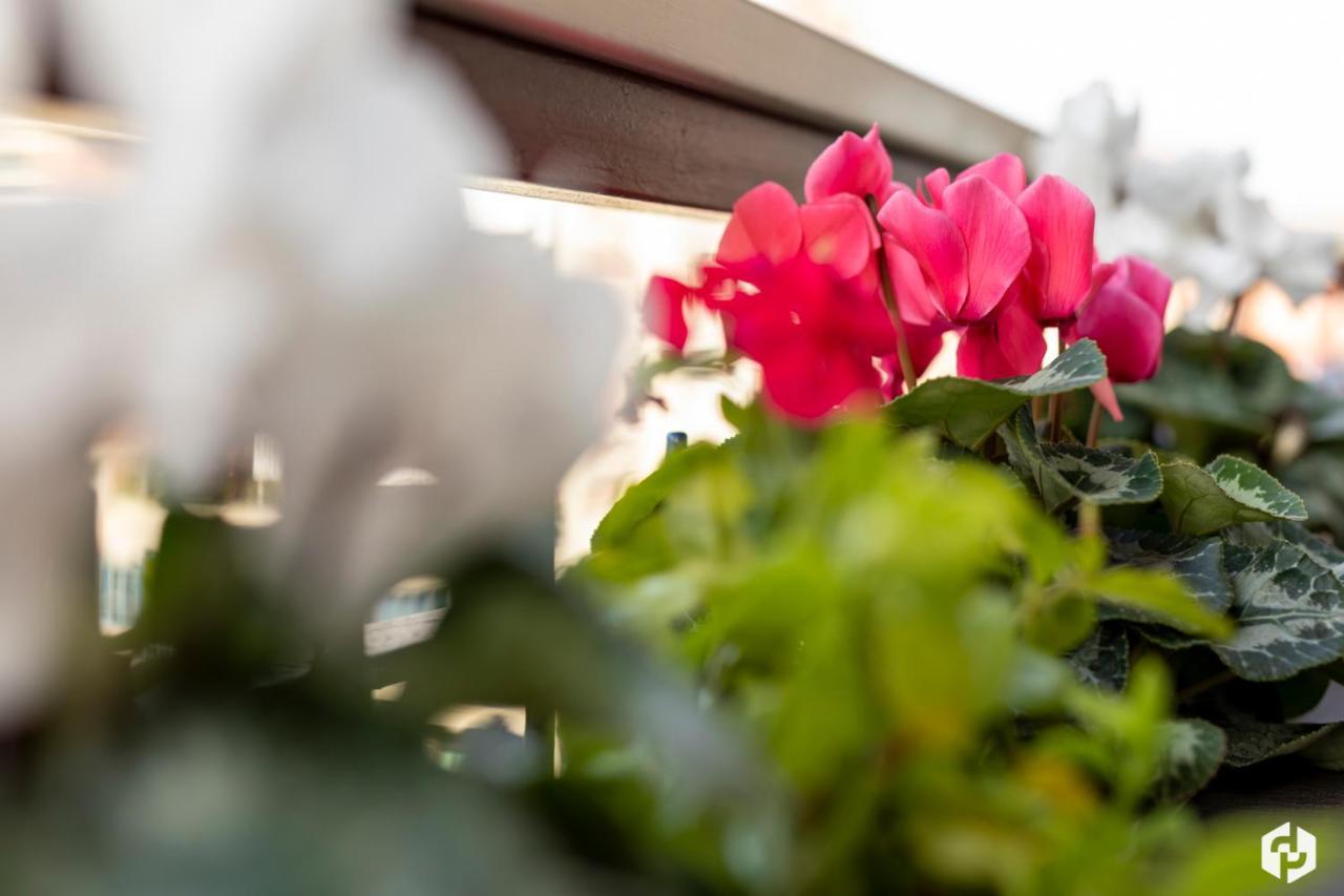 Daydreaming House Hotel Verona Ngoại thất bức ảnh